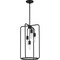 Progress Lighting Bonn Collection Four-Light Black Pendant P500224-031 - alternate 2